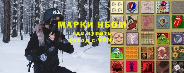 стаф Зеленокумск