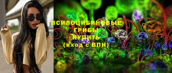 стаф Зеленокумск